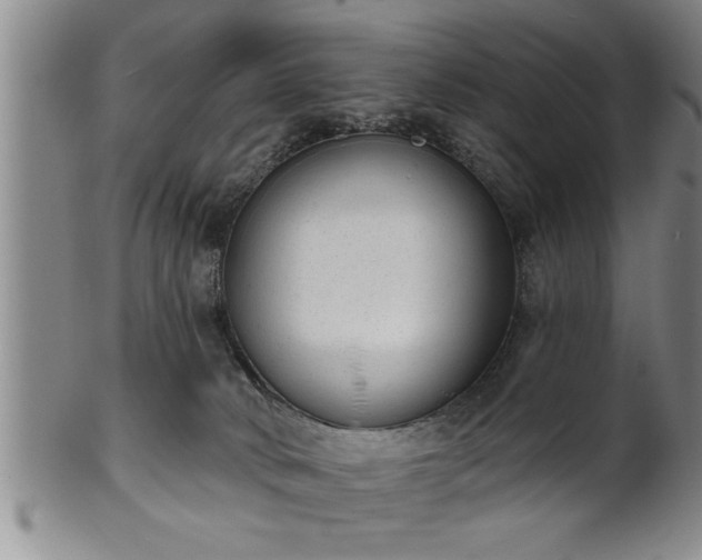 X0000102360034200808081140