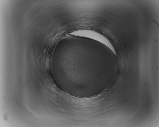 X0000102360035200808081140