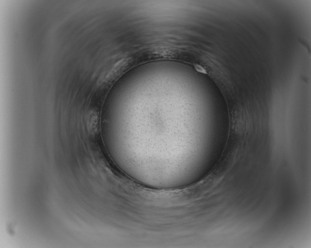 X0000102360036200808081140