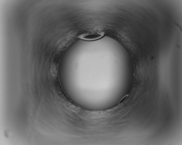 X0000102360037200808081140