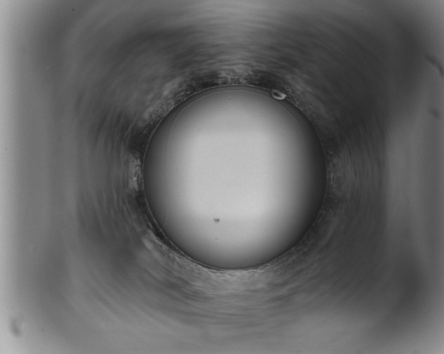 X0000102360038200808081140