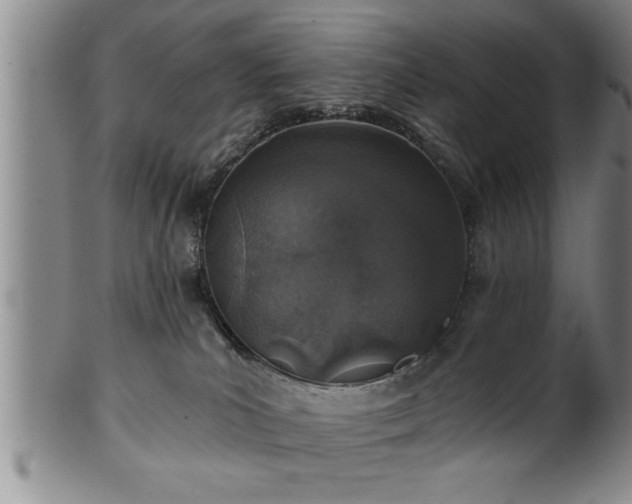 X0000102360039200808081140