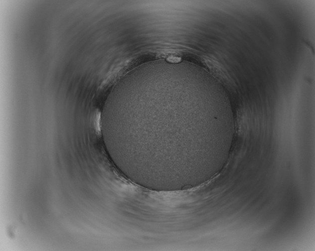 X0000102360041200808081140