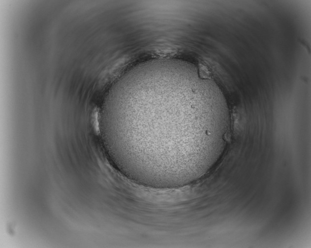 X0000102360042200808081140