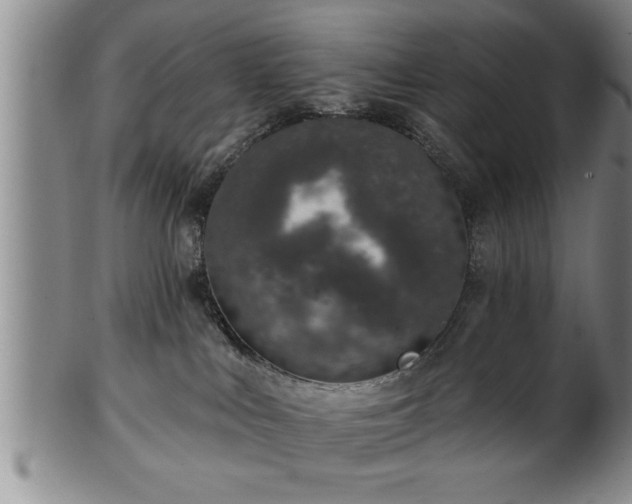 X0000102360043200808081140