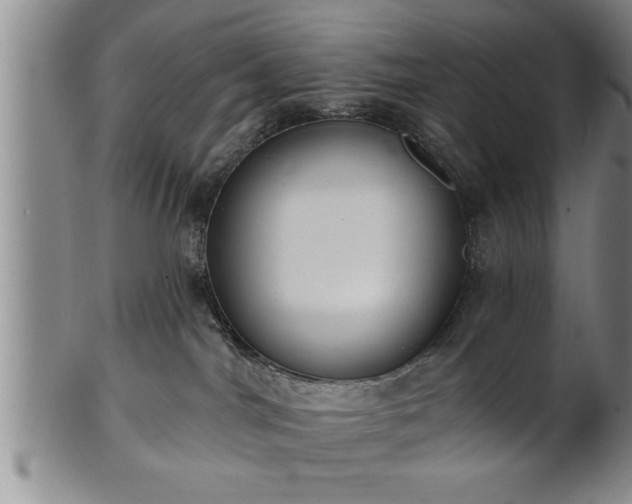 X0000102360044200808081140