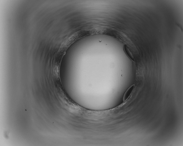 X0000102360045200808081140