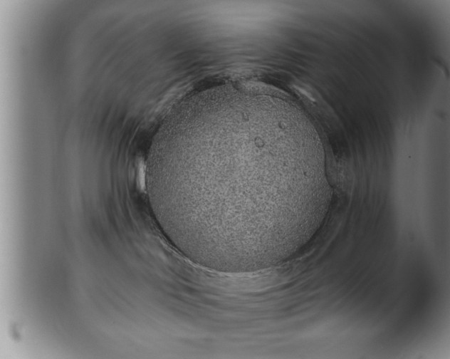 X0000102360046200808081140