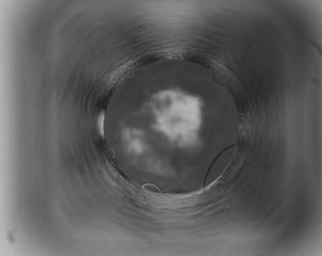 X0000102360047200808081140