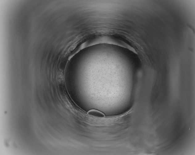 X0000102360048200808081140