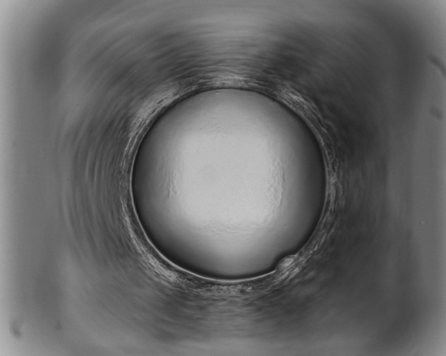 X0000102360049200808081139