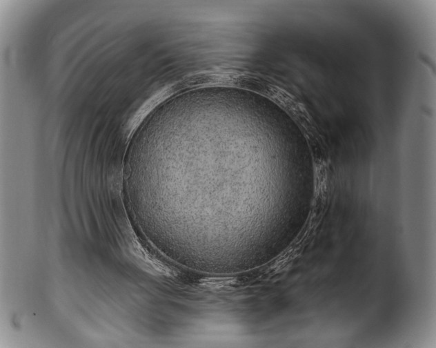 X0000102360051200808081139