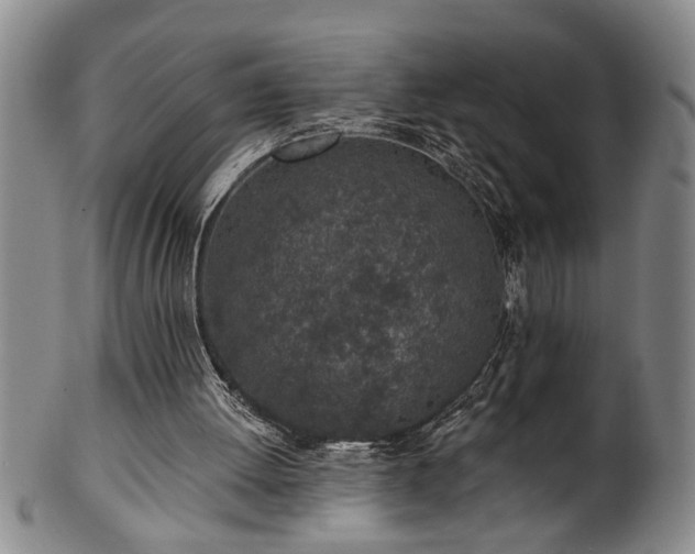 X0000102360052200808081139