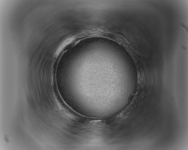 X0000102360054200808081139