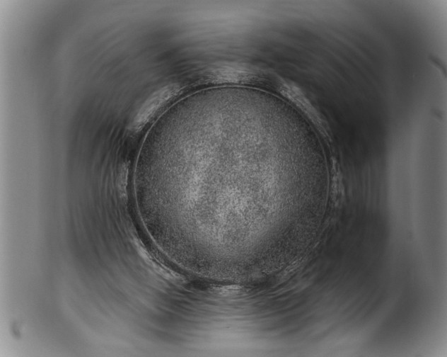 X0000102360058200808081139