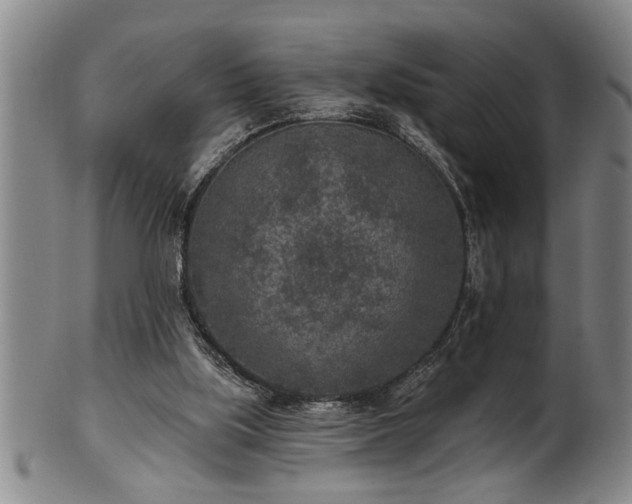 X0000102360059200808081139