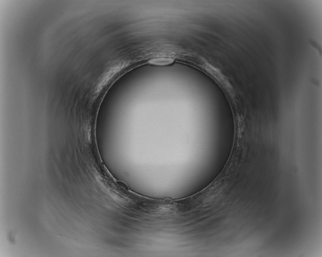 X0000102360060200808081139