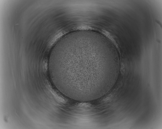 X0000102360063200808081139