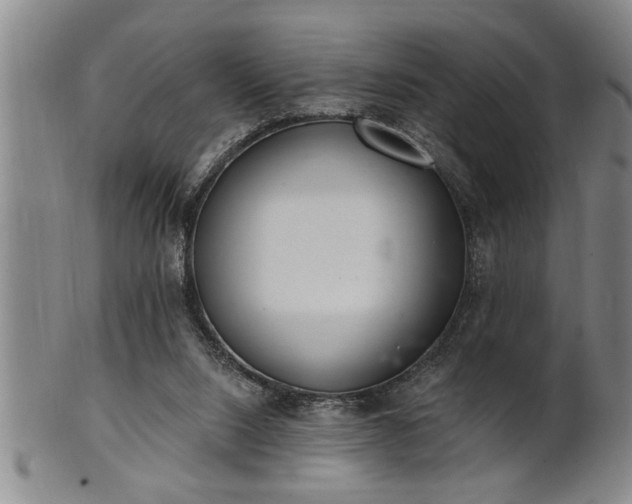 X0000102360064200808081139