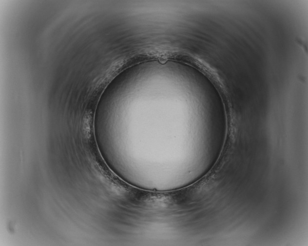 X0000102360065200808081139