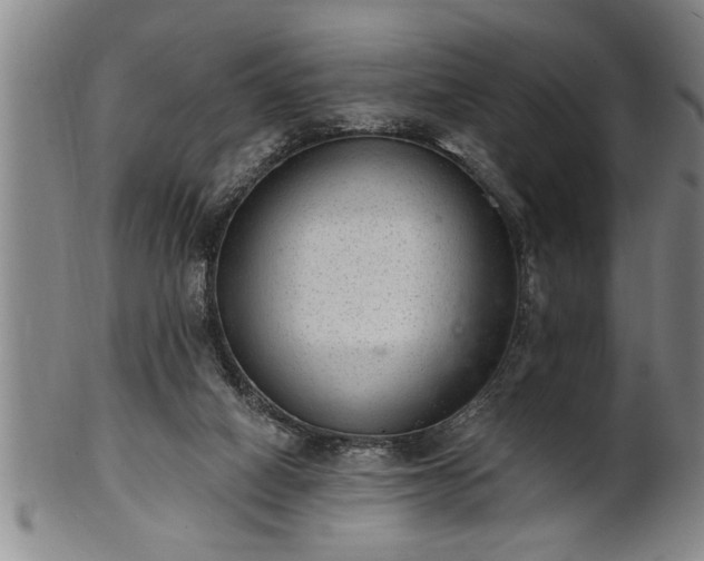 X0000102360066200808081139