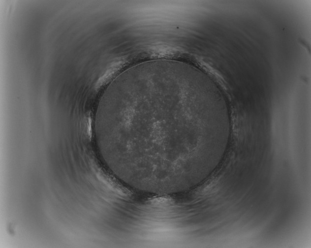 X0000102360067200808081139