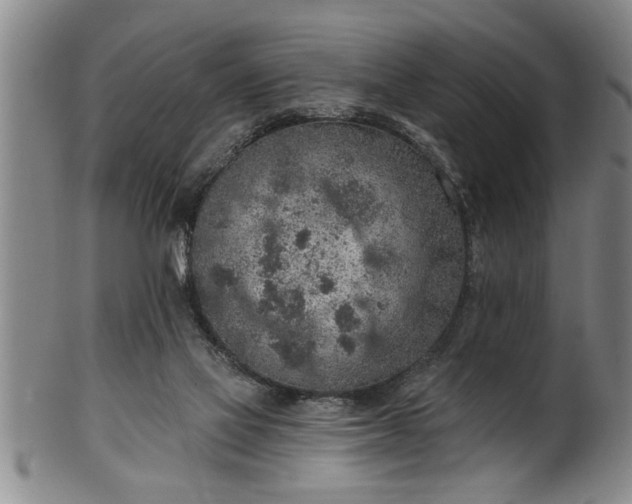 X0000102360069200808081139