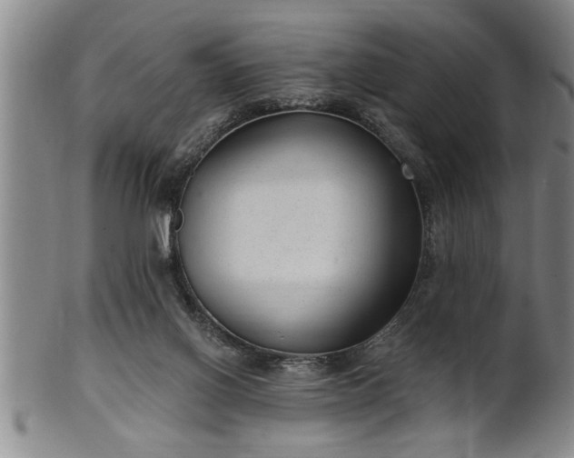 X0000102360070200808081139