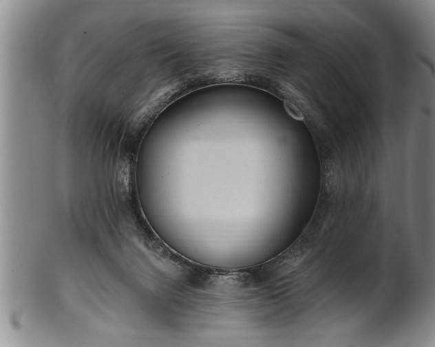 X0000102360072200808081139