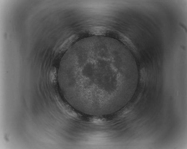 X0000102360073200808081139