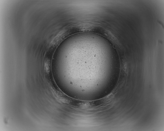 X0000102360074200808081139