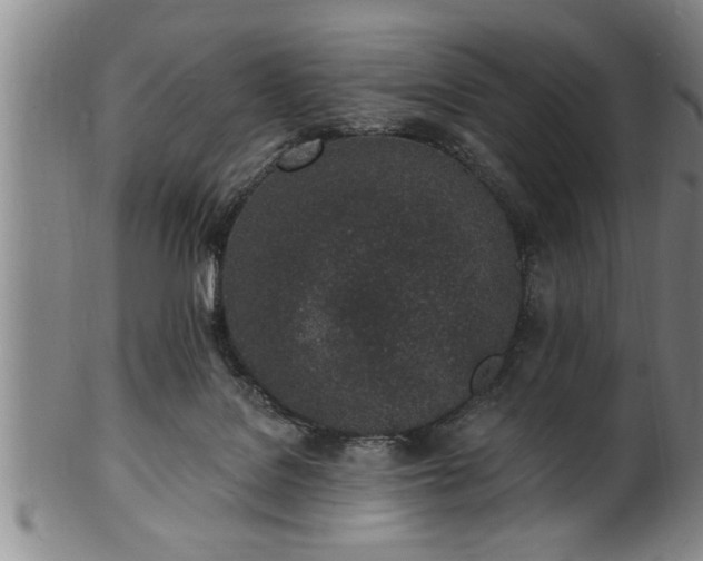 X0000102360076200808081139