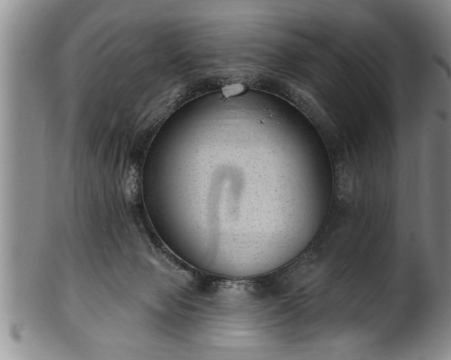 X0000102360077200808081139