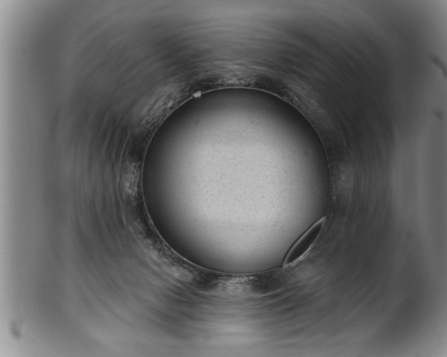 X0000102360078200808081139