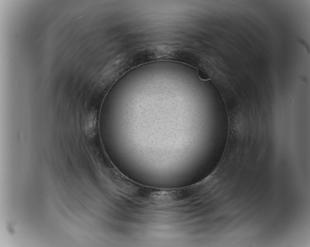 X0000102360082200808081140