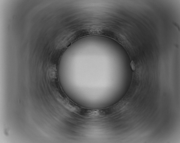 X0000102360083200808081140