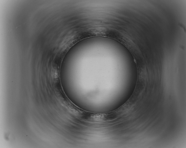 X0000102360084200808081140