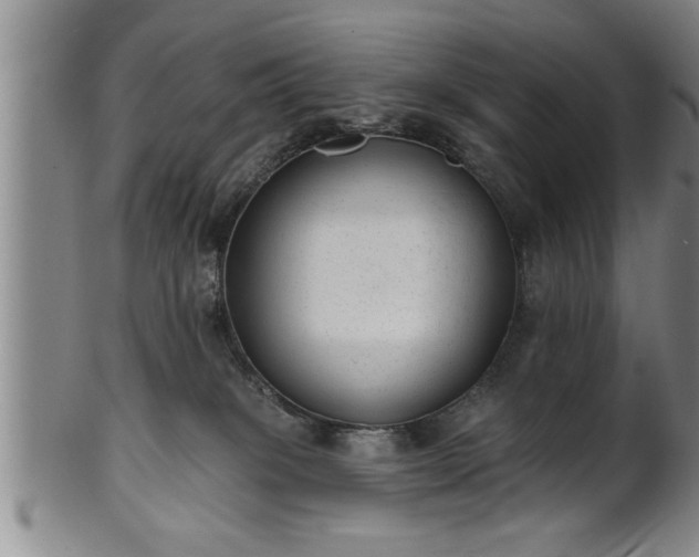 X0000102360085200808081140