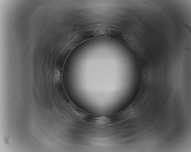 X0000102360087200808081140