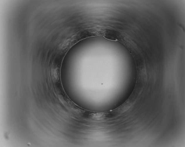 X0000102360088200808081140