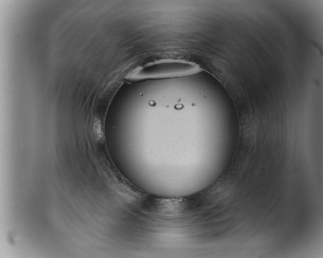 X0000102360089200808081140