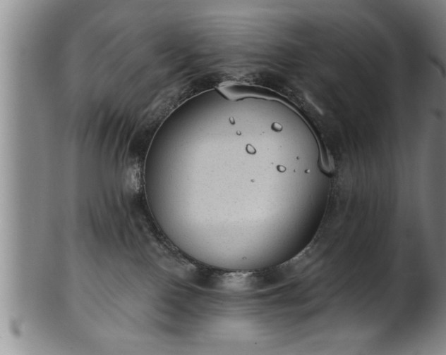 X0000102360090200808081140