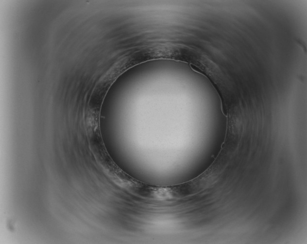 X0000102360091200808081140