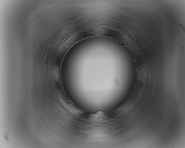 X0000102360092200808081140