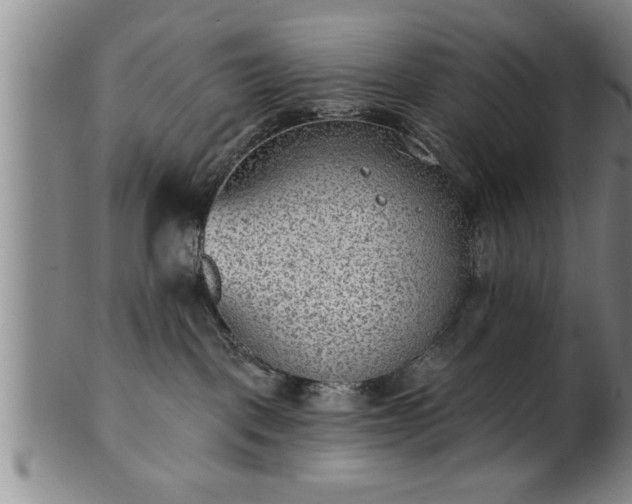 X0000102360093200808081140