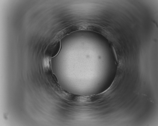 X0000102360094200808081140