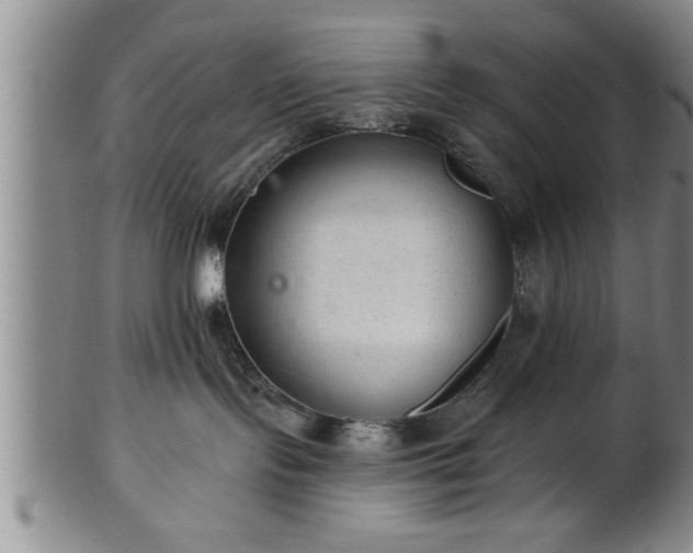 X0000102360095200808081140