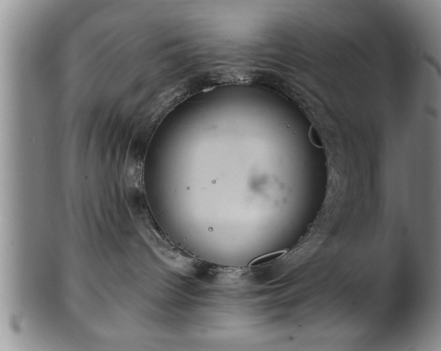 X0000102360096200808081140