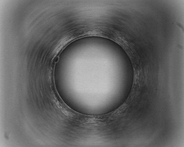 X0000102360098200808081139