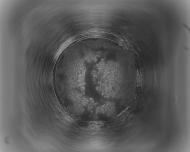 X0000102360099200808081139